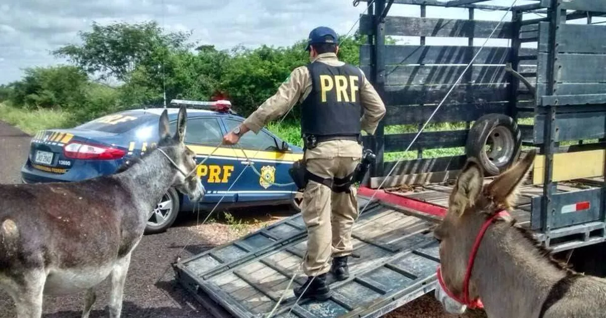 prf