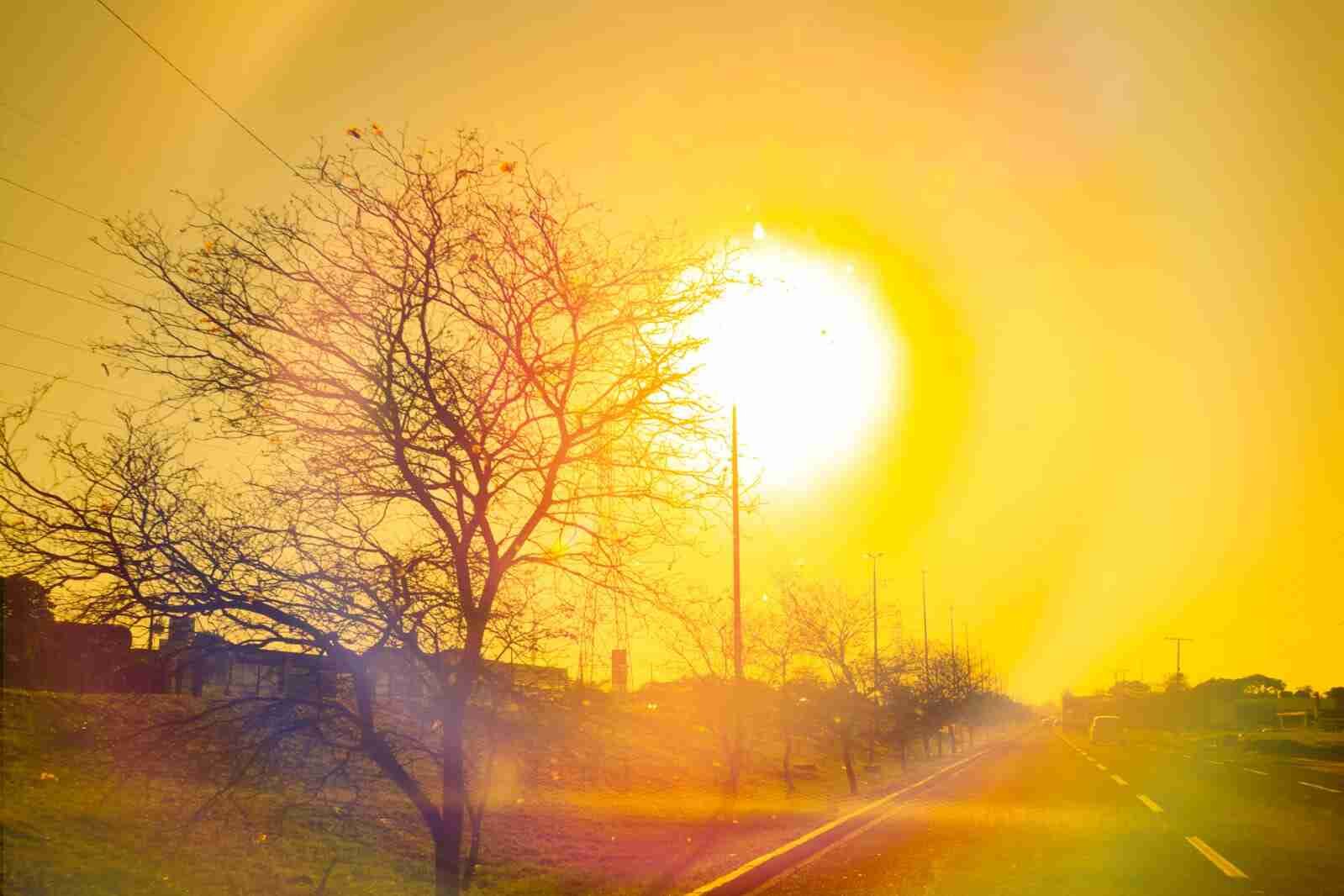 74888_calor-tempo-seco-sol-foto-marcos-erminio-jpg