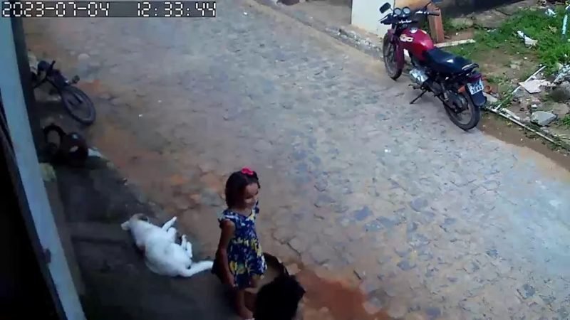 WhatsApp-Image-2023-07-09-at-18.05.28-800x450-1