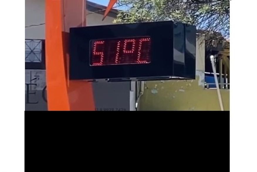 temperatura_patos___foto_instagram_patos_zoeiro