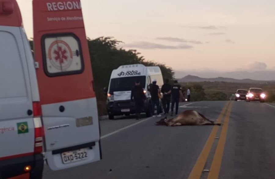 Vaca-