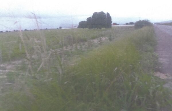 itabaiana-600x387-1
