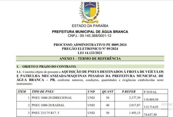 pneus1-591x400-1