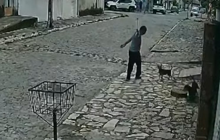cats-4