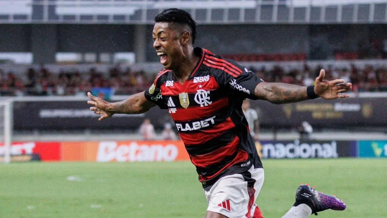 Imagem anexa