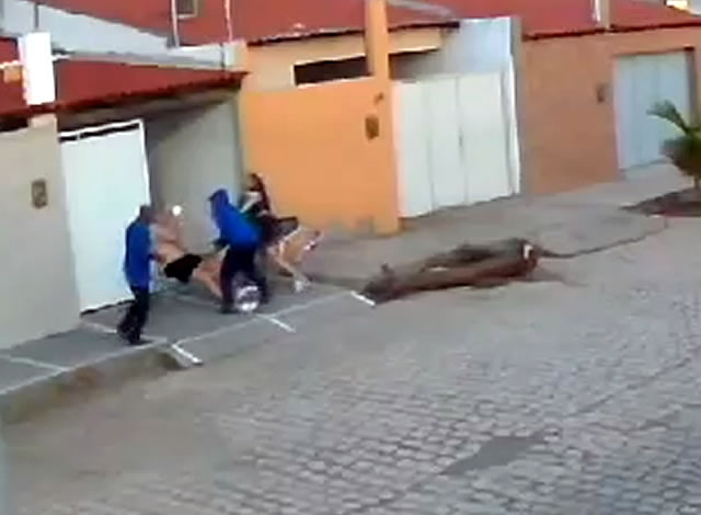 Dupla pratica roubo no bairro dos Remédios à luz do dia, na cidade de Cajazeiras