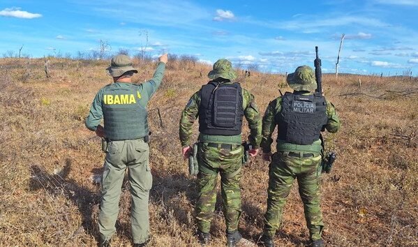 Ibama aplica mais de R$ 4 milhões em multas e embarga 993 hectares na Paraíba