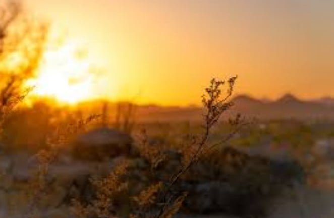 No sertão, 71 municípios estão em alerta de baixa umidade na Paraíba