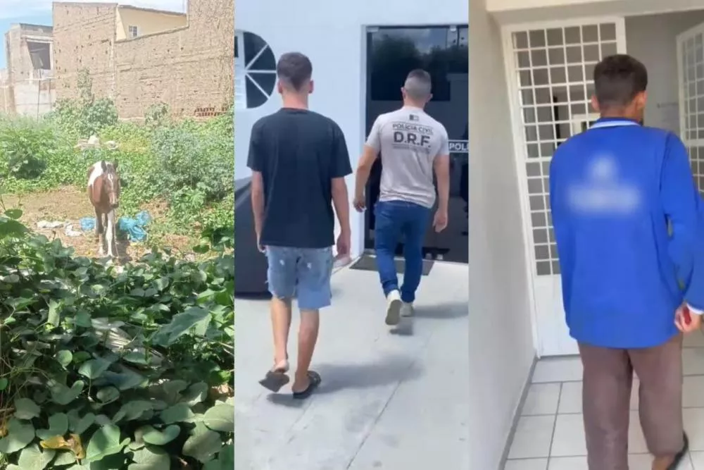 Polícia Civil prende dupla suspeita de furto de animal no bairro São Sebastião, em Patos