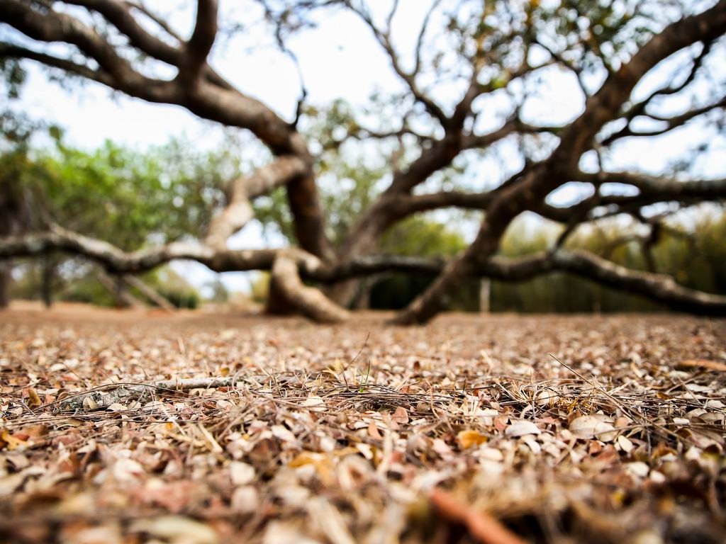 Paraíba chega a 100 cidades em situação de emergência