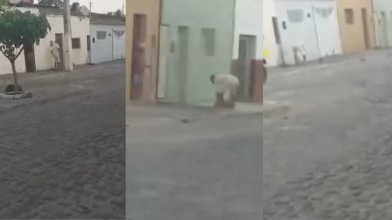 Ex-vereador de Pirpirituba é preso em flagrante por agredir cachorro