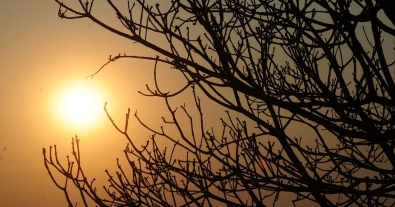 Umidade do ar deve permanecer abaixo de 30% em 118 cidades da Paraíba e autoridades alertam para riscos à saúde