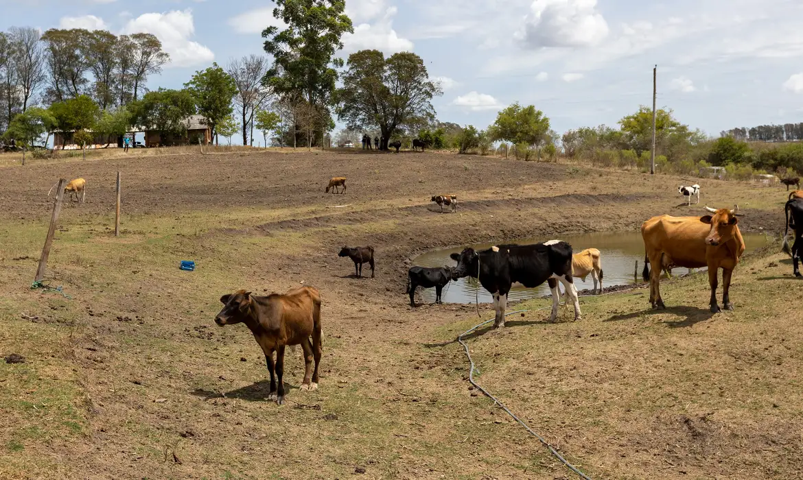 Governo federal reconhece emergência em Boqueirão e Parari por estiagem