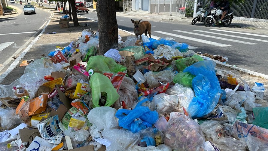 O martírio da limpeza urbana e a periferia esquecida em Cajazeiras, enquanto festas recebem investimentos pesados